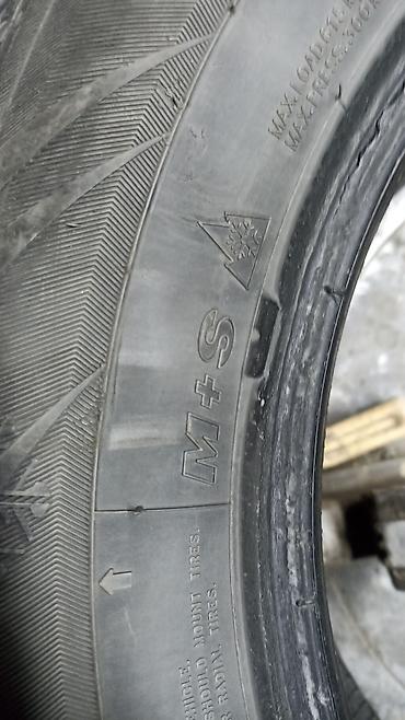 шина 15 195: Шина зимняя MAXXIS Premitra Snow (символ 3PMSF и маркировка M+S) — 1