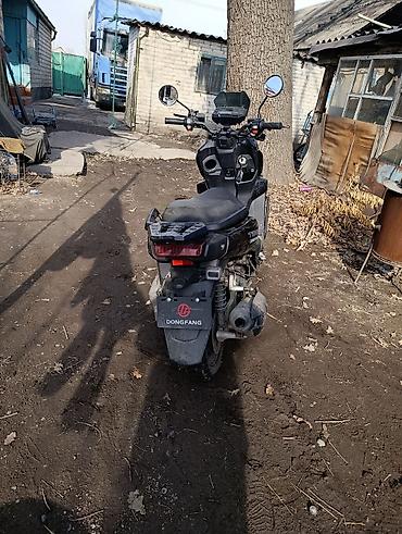 Скутеры: Скутер DongFang (маркировка на кожухе двигателя) Характеристики и — 8