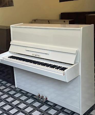 Musiqi alətləri: Beıarus 3 pedal Şok endirim mehdud say teles, üstelik pulsuz — 1