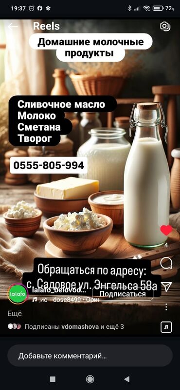 куплю яйца куриные: Молочные продукты и яйца