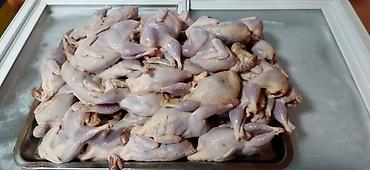 Перепелки, вес 250 -300 грамм, мясистые тушки, молодняк. Перепёлок