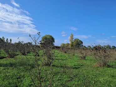 sumqayıt heyet evi type 1: Xaçmaz, 2 kv. m, 1 otaqlı, Hovuzsuz, Qaz, İşıq, Su