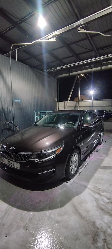 golf venta: Kia Optima: 2017 г., 2.4 л, Автомат, Бензин — 4