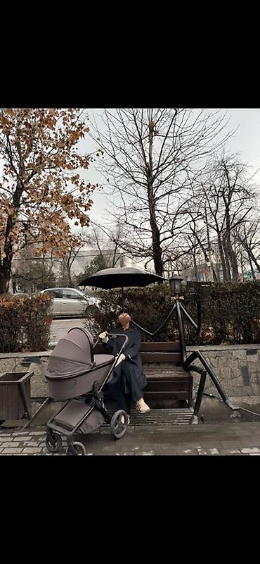 Коляски: Коляска «Anex flo»
Цвет кофе/коричневый — 19