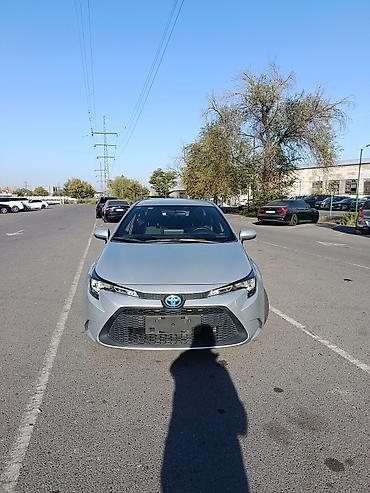 corolla 2016: Toyota Levin: 2020 г., 1.8 л, Вариатор, Гибрид, Седан — 1