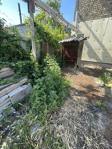 уборка огород: Уборка территории - Вывоз и утилизация мусора, старых досок, веток — 3
