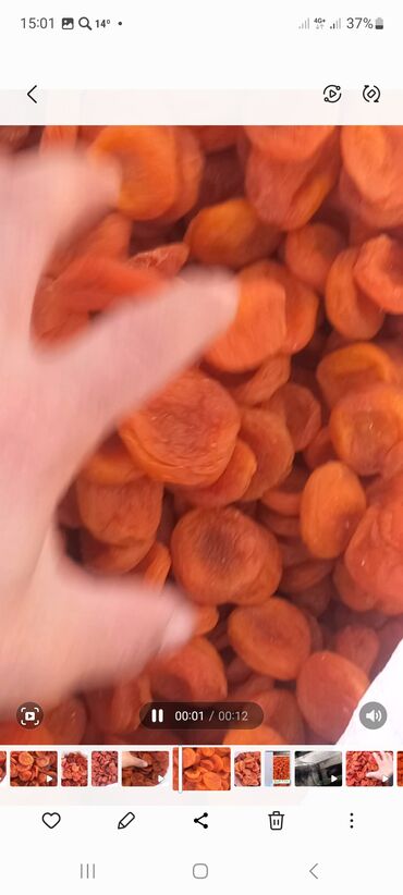 Сухофрукты, орехи, снеки: Ассалом алейкумбаткендин натуральный оругуарзан оптом сатылат — 15