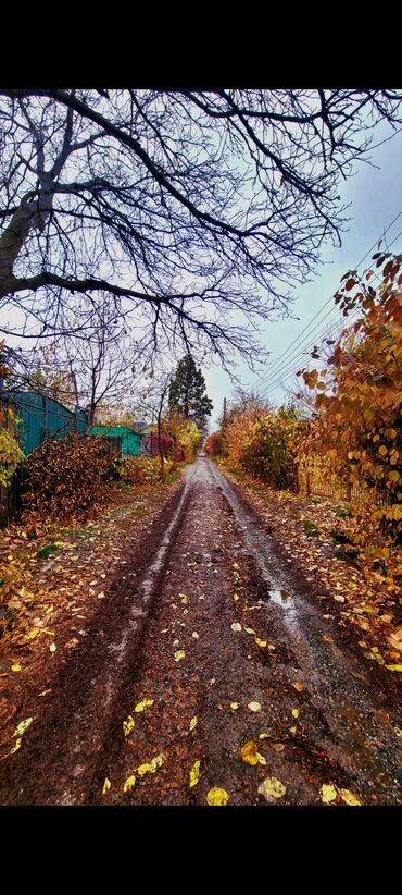 дом в бешкунгее: Дача, 50 м², 2 комнаты, Собственник, Старый ремонт