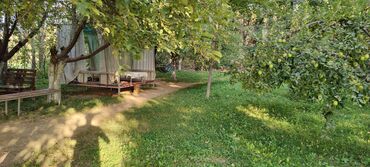 Сельхоз предприятия: Продается Кашара Фермерское- хозяйство с действующим бизнесом и с — 18