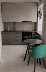 аренда квартир на долгий срок джал: Студия, Риелтор, Чогуу жашоосу жок, Жарым -жартылай эмереги бар