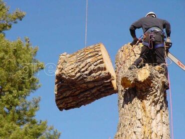 попилить дрова цена: Пилю Деревья Дрова Пеньки Доски Бревна. Продаю Дрова и Уголь