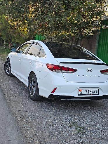 Транспорт: Hyundai Sonata: 2023 г., 2 л, Типтроник, Газ, Седан — 4