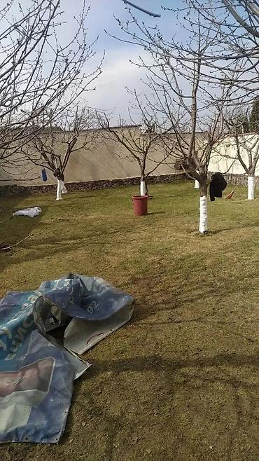 Уборка территории: Уборка территории, Уборка двора и сада — 4