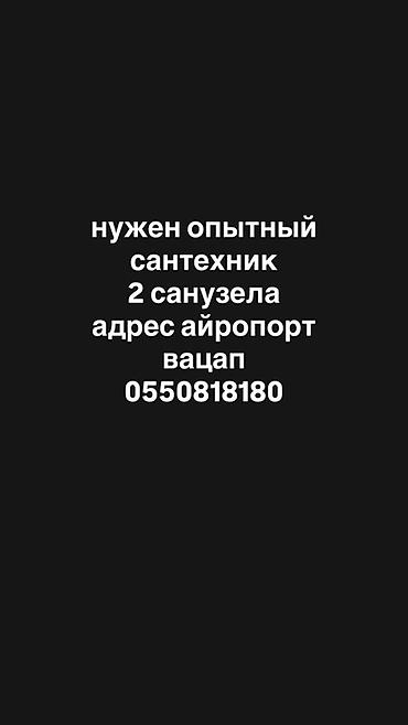 Требуется опытный сантехник для выполнения работ в двух санузлах