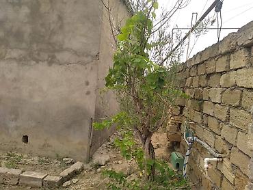 qesr: Kürdəxanıda 4 sotun içində 2 otağ 1zal hamam tualet orta remontda — 3