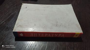 школьники слив: Русская литература, 9 класс, Б/у — 4