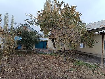 Продажа коттеджей и домов: Продаётся частный дом с большим двором и хозяйственными постройками — 4