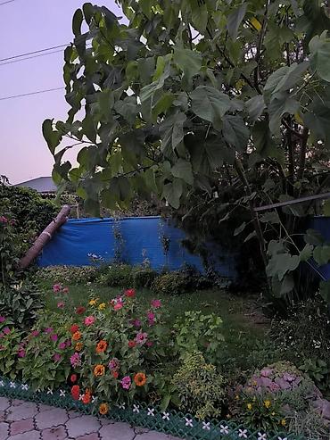Продажа коттеджей и домов: 4 комнаты, 67 м², 486 соток, Бишкек, Турбаза Собственник — 24