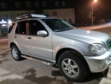 Mercedes-Benz: Mercedes-Benz M-Class: 2003 г., 4 л, Автомат, Дизель, Внедорожник — 9