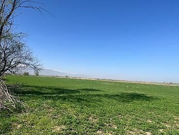 Продажа участков: 30 соток, Для сельского хозяйства, Красная книга, Тех паспорт at lalafo.kg — 14 Продажа участков: 30 соток, Для сельского хозяйства, Красная книга, Тех паспорт — 14