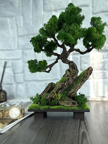 Другой декор и предметы интерьера: В переводе с японского Бонсай означает «дерево, выращенное в блюде» — 51