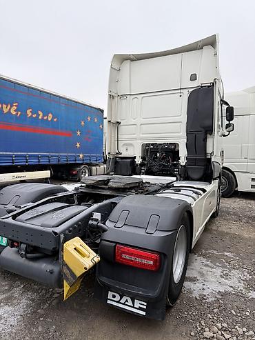 Тягачи: Тягач, DAF, 2019 г., Тентованный — 30