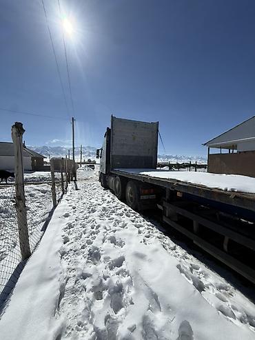 Тягачи: Тягач, Volvo, 2003 г., Шторный — 3