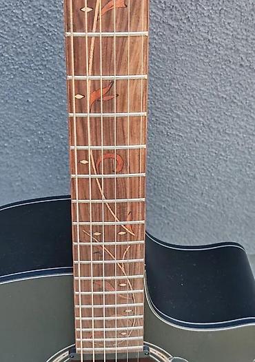 bas gitara cena: IBANEZ AE295-WK B-STOCK | Slanje po dogovoru ili lično preuzimanje - — 4