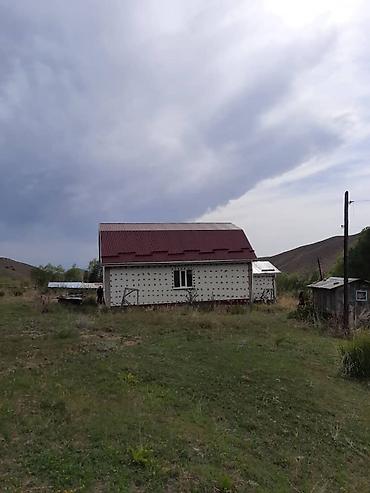 пасеки: Сдаю в аренду фазенду общей 1.7 гектаров. Фазенда находится на — 7