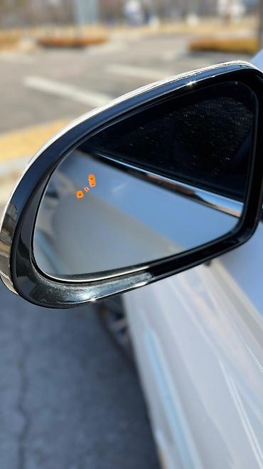 Hyundai: Hyundai Santa Fe: 2019 г., 2.2 л, Дизель — 8