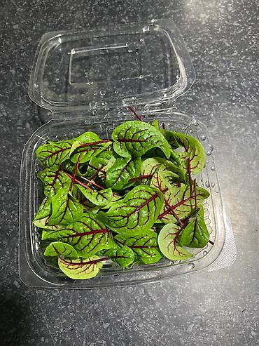 Микрозелень: Микрозелень и молодые травы в кассетах - Ассортимент: микрозелень — 39