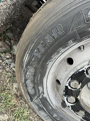 Тягачи: Тягач, DAF, 2019 г., Без прицепа — 32