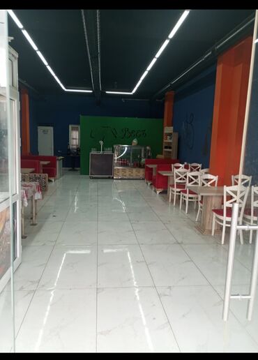 Посудомойщицы: Официант, Женщина, 40 лет, Без опыта