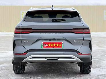 BYD: BYD Destroyer 05: 2024 г., Кроссовер — 7