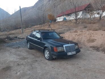 Mercedes-Benz: Mercedes-Benz W124: 1992 г., 2.9 л, Механика, Дизель, Седан