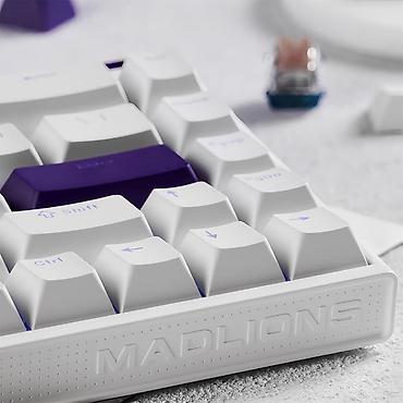 glorious model d: Клавиатура, Проводное подключение, Размер: 65% — 3