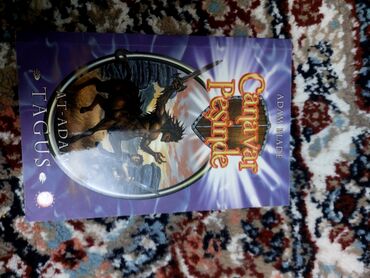 Bədii ədəbiyyat: Uşaq və yeniyetmələr üçün 4 kitablıq paket 1) Aslan, cadugər və — 2