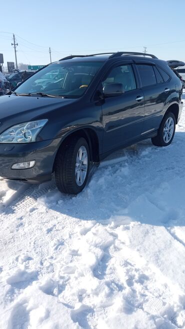 шампунь для автомобиля: Lexus RX: 2008 г., 3.5 л, Автомат, Газ