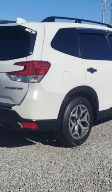 mercedesbenz w204 фара: Subaru Forester: 2020 г., Вариатор, Бензин, Кроссовер — 3