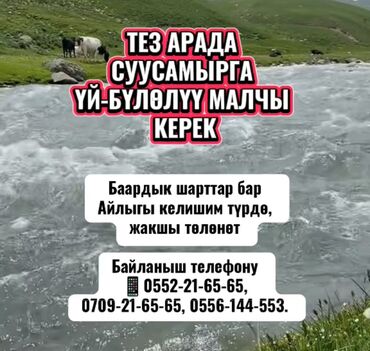работа официантом без опыта бишкек: Талап кылынат Малчы, Төлөм Келишим түрдө, Окутуу
