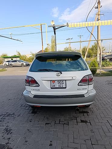 210 дерево: Lexus RX: 2001 г., 3 л, Автомат, Бензин, Кроссовер — 1