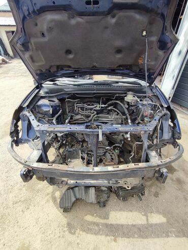 Ноускат, хафкат: Б/у, Оригинал — 5