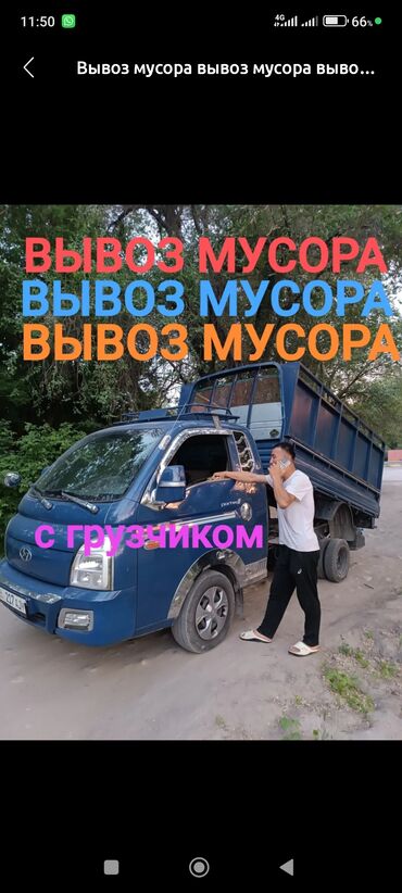 ориентальная кошка черная: Вывоз мусора вывоз мусора вывоз Вывоз Мусора вывоз Мусора вывоз