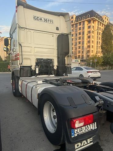 даф одиночка: Тягач, DAF, 2020 г. — 5