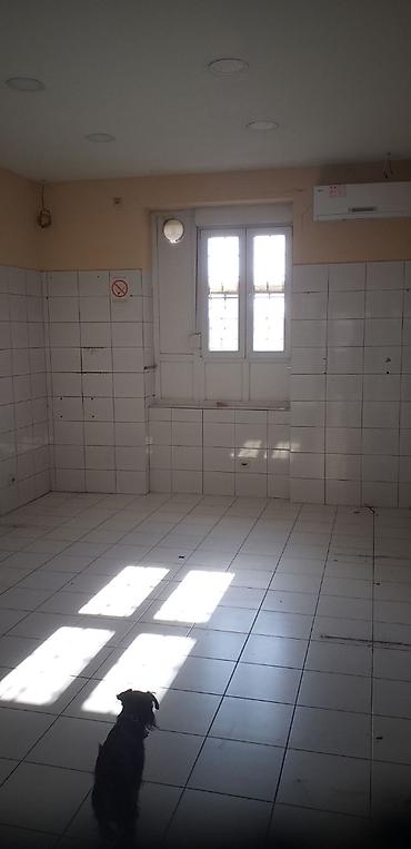 privatan parking: Lokal izdaje vlasnik -62m2, bez posrednika na duži rok,odmah useljiv — 9