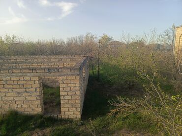 bakı ev alqı satqısı: 14 sot, Kənd təsərrüfatı, Mülkiyyətçi, Kupça (Çıxarış), Bələdiyyə