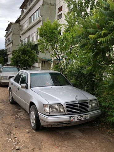продаю мерс сешка: Mercedes-Benz 280: 1993 г., 2.8 л, Механика, Бензин, Седан