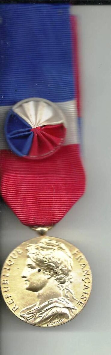 guler huseynova kitabi: Medal Fransa