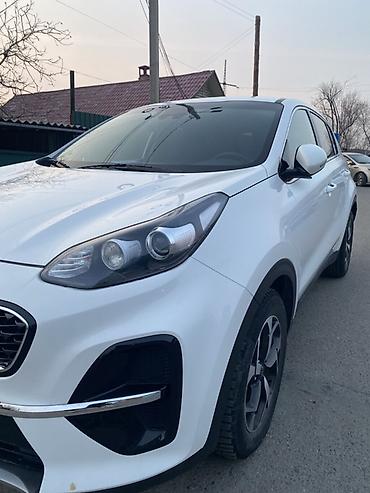 Kia: Kia Sportage: 2019 г., Кроссовер — 8