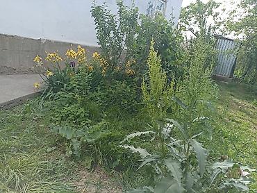Продажа дачи: 4 комнаты, 60 м², 5 соток — 11